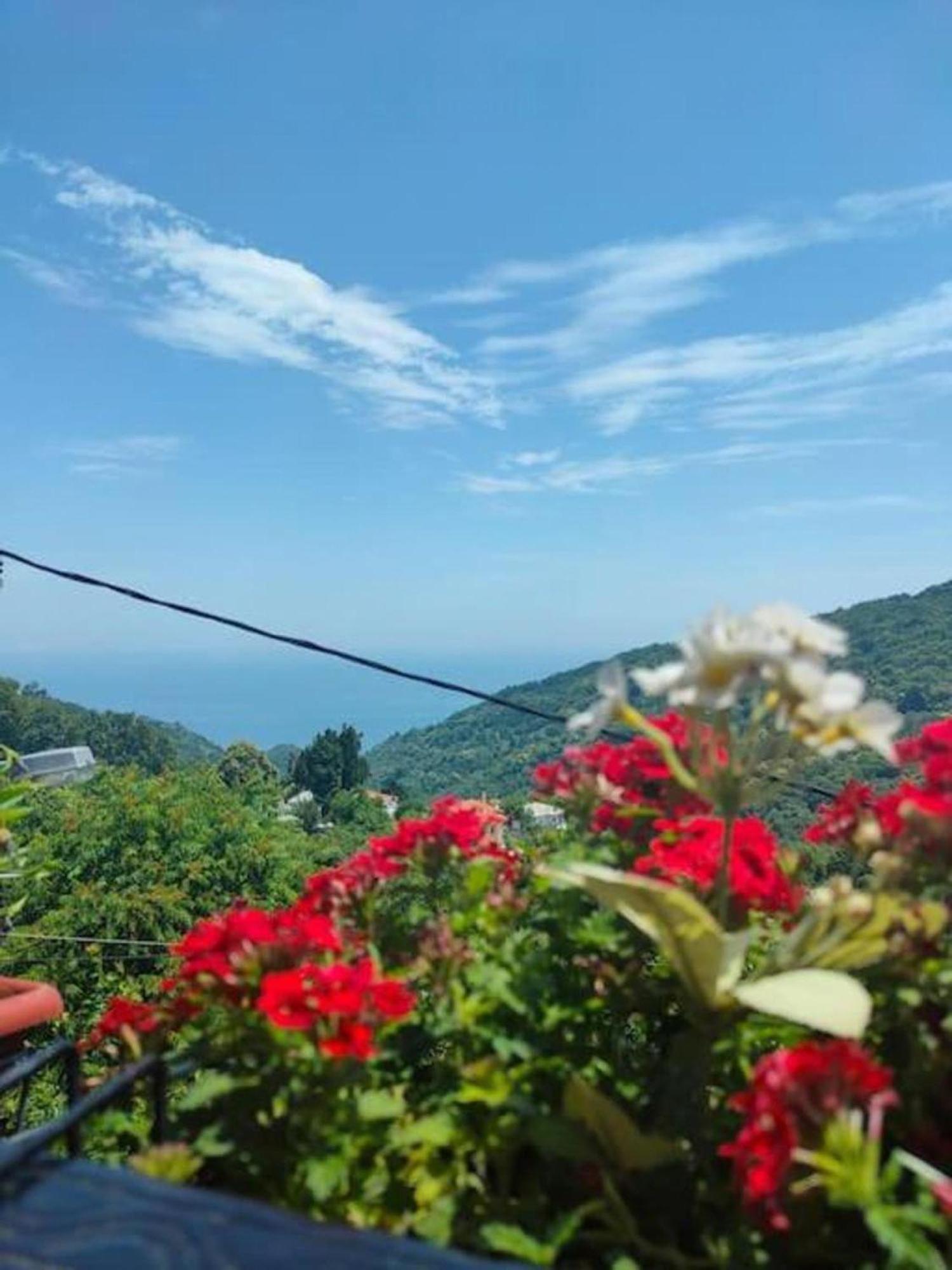 Apartmán Hara'S House Pelion Makrirrákhi Exteriér fotografie